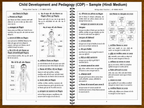 Child Development & Pedagogy (CDP) Study Notes for Paper 1 & 2